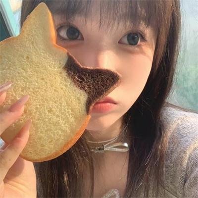动物的秘密生活